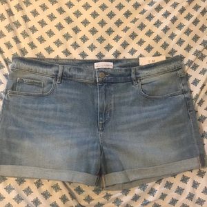 NWT Loft Jean shorts